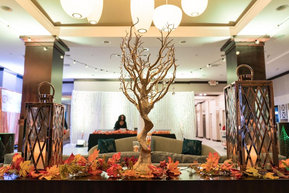 Hilton Garden Inn Shirlington Arlington Bagian luar foto